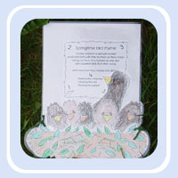 5 baby bird chicks in a spring time nest - number rhyme
