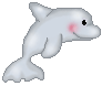 dolphin sea