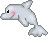small dolphin