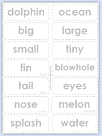 basic dolphin words for early years preschool
