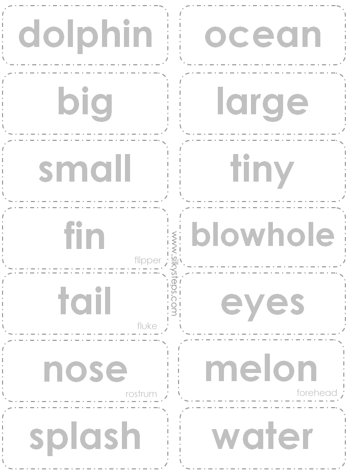 Dolphin words - language printable for preschool learning