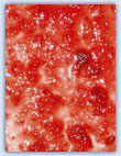 Red jam collage paper