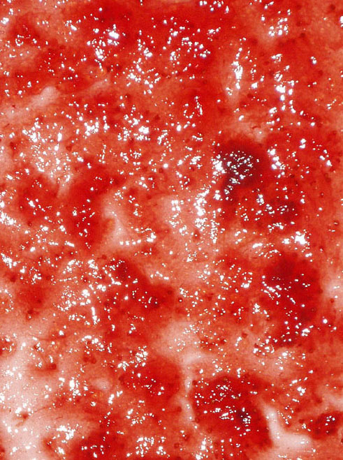 Strawberry jam sheet for cutting collage activity
