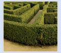 Pathways of a maze