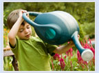 Resources that support exploration, discovery and knowledge acquisition
