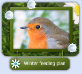 Help supprt the birds in your locality..