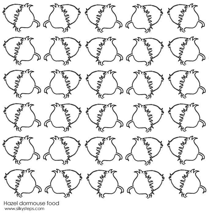 Hazel nut outline images for dormouse feeding games