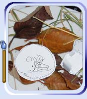 Dormouse craft activity