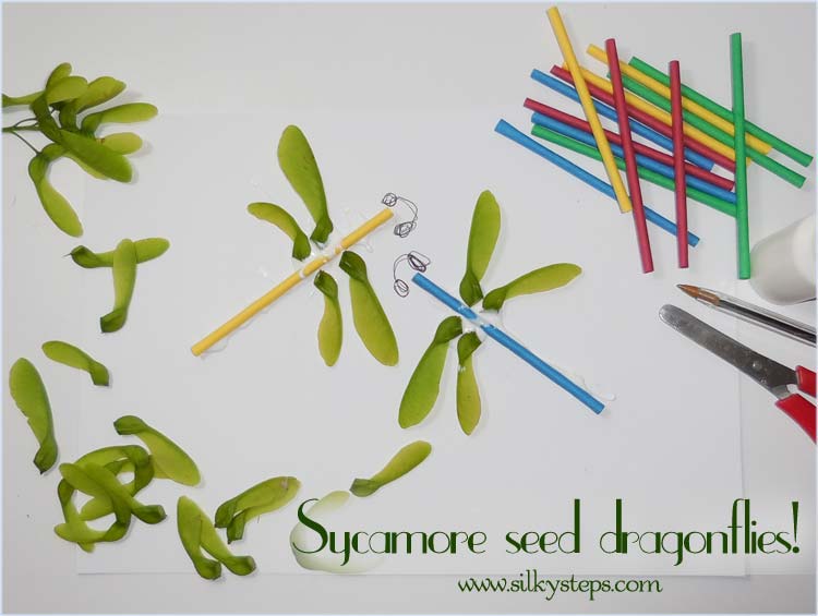 Sycamore seeds collage craft activity