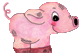 pig