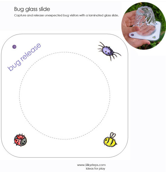 Bug slide image - print and laminate to use with a capture pot or cup