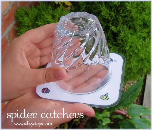 Catch and release your mini beast encounters safely ..