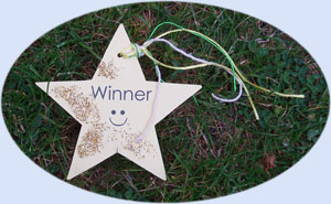 Make winner stars for all players taking part ..