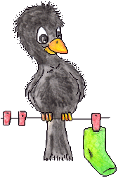 Washing line bird watching garden play