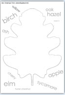 Oak leaf outline playdough printable mat