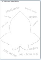 Sycamore leaf line drawing playdough mat