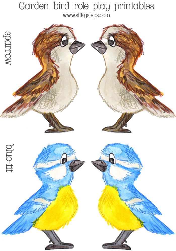 Sparrow and Blue-tit garden bird role play preschool activity printable