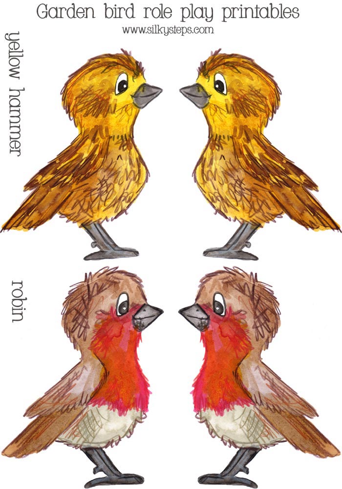 Yellow hammer and Robin garden bird role play preschool activity printable