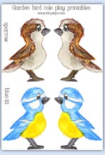 Sparrow and Blue-tit garden bird printable role play characters