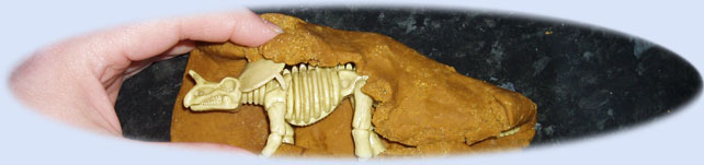 Encase dinosaur skeletons in dough to excavate during play
