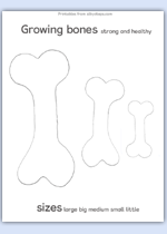 Growing bones outline activity sheet