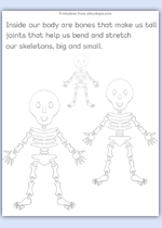 Skeleton bones sizes rhyme
