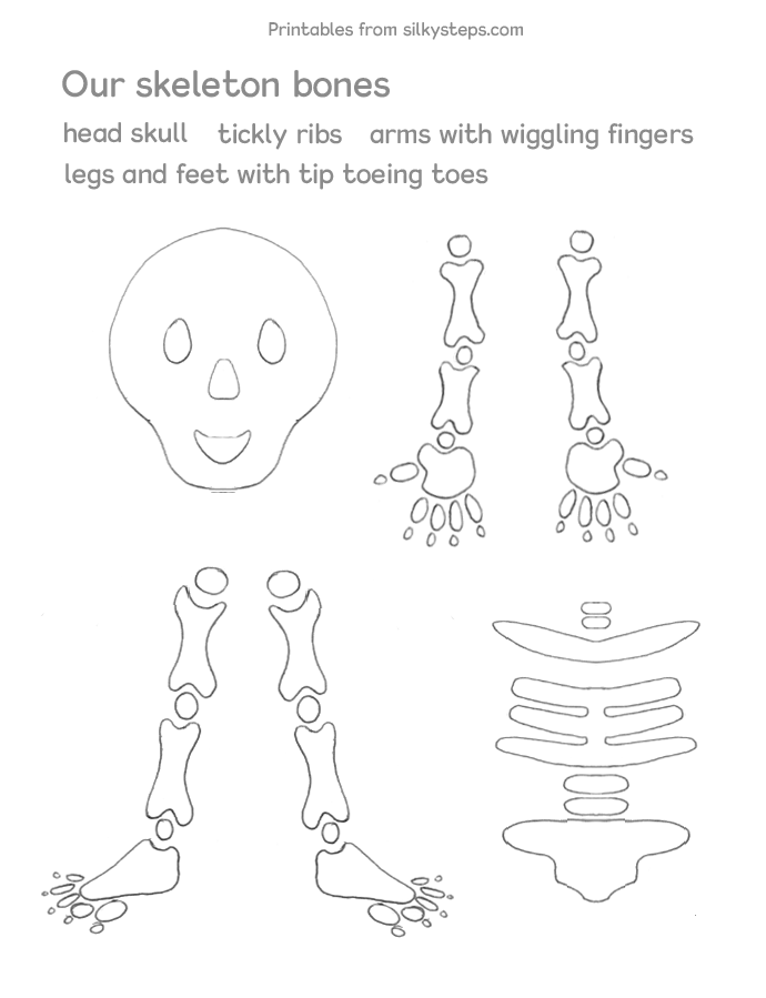 Cut and paste scissor skill activity sheet for bones and skeletons