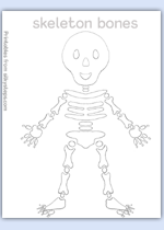 Skeleton picture - outline mark making for collage and colour
