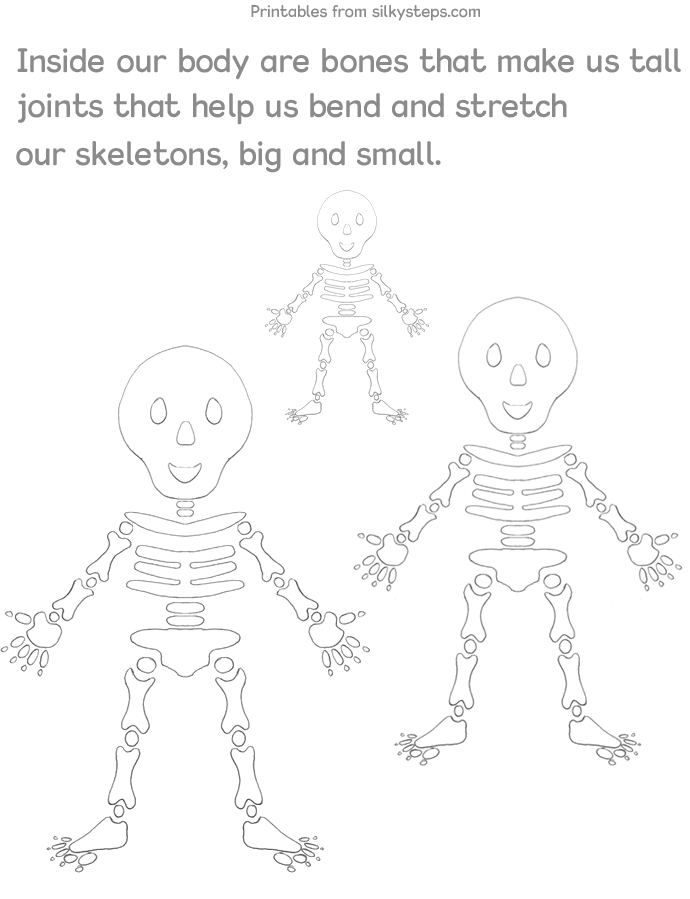 Skeleton bones rhyme and sizes activity sheet