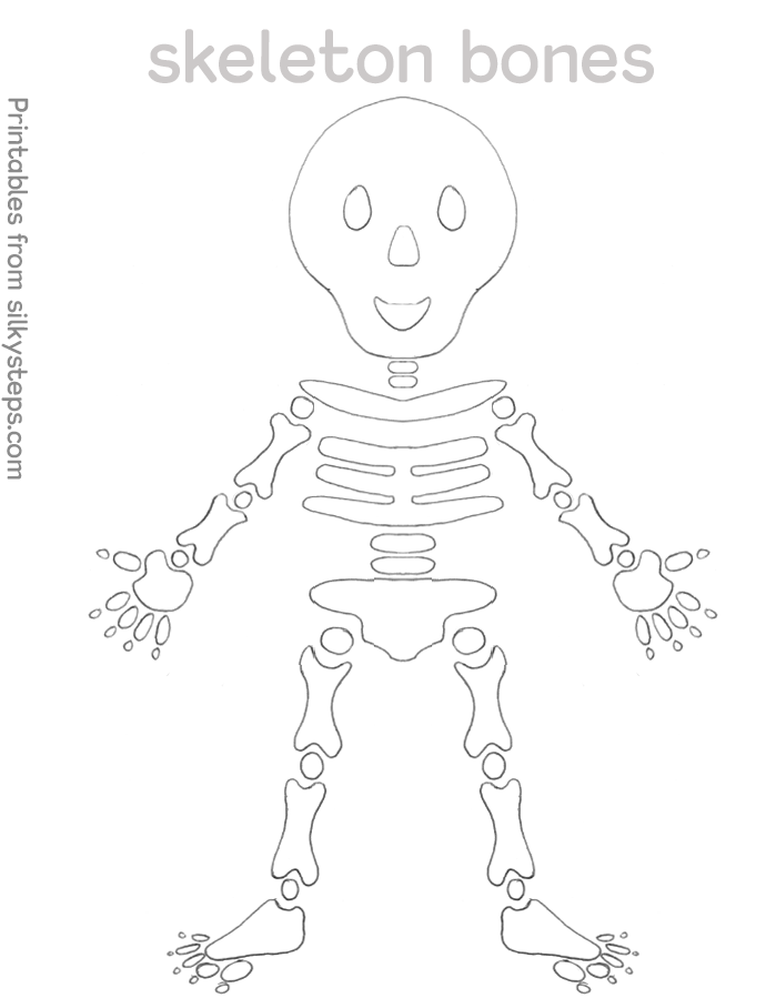 Skeleton colour and collage filling activity sheet