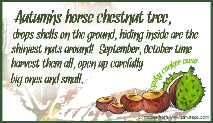 Conker horse chestnut rhyme