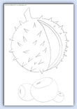 Conkers and conker shell outline template