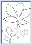 Horse chestnut leaf outlines