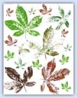 Horse chestnut leaves printable