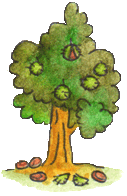 Horse chestnut tree