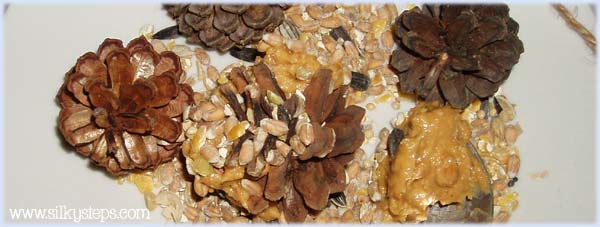 Make bird feeder with pine cones peanut butter and seed