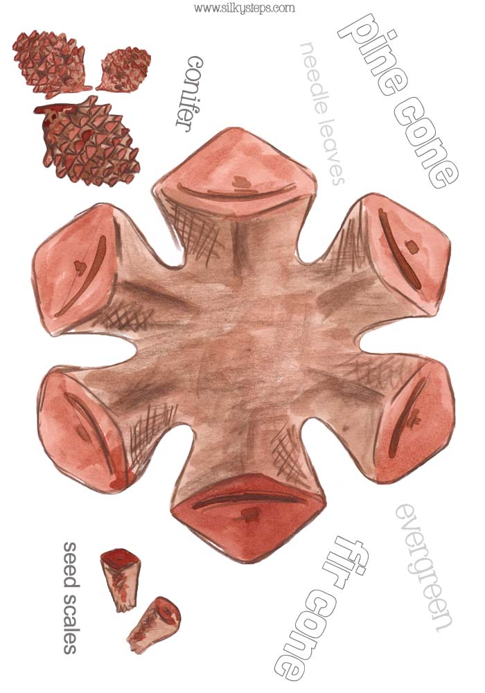 Colour pinecone playdough activity sheet - preschool learning idea