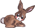 bouncy rabbit