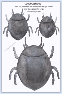 Colour ladybird underbody images