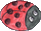 ladybird
