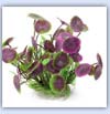 Plastic fish tank plant