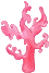 seacoral