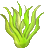 sea grass