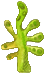 seaweed