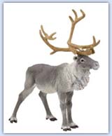 Reindeer play figure
