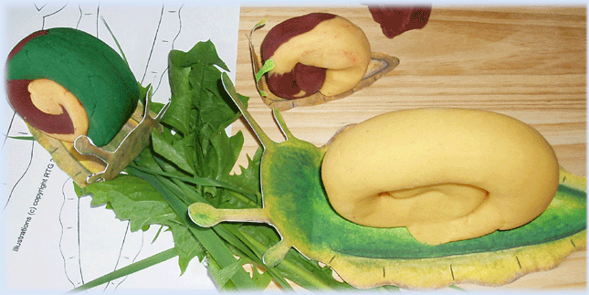 Snail playdough activities