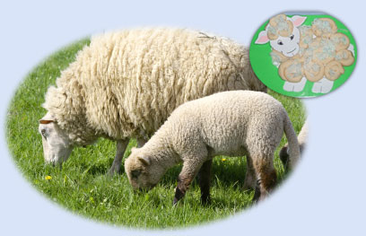 Woolly playdough sheep