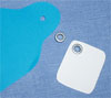 Label and name tag eyelets