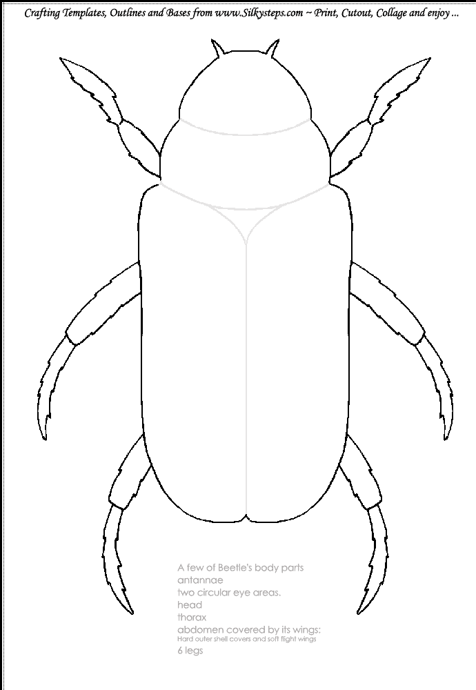 Beetle outline template minibeast insect craft and collage