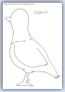 Pigeon bird outline template